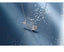 Fish Bones Necklace