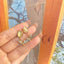 Cat’s Eye Stone Tulip Earrings