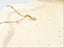 High Heel Shoe Necklace