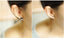 Sphynx Cat Earrings, Hairless cat earrings, Studs, Sterling Silver