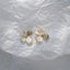 White Dogwood Delicate Earrings