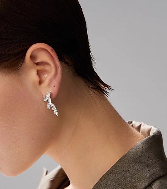 Earrings set